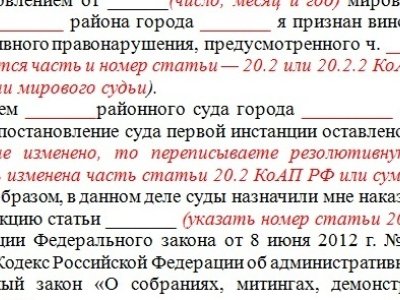      Опубликован типовой документ для обжалования штрафов за участие в митингах
    